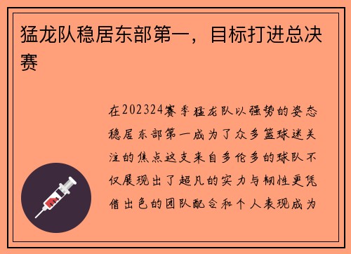 猛龙队稳居东部第一，目标打进总决赛