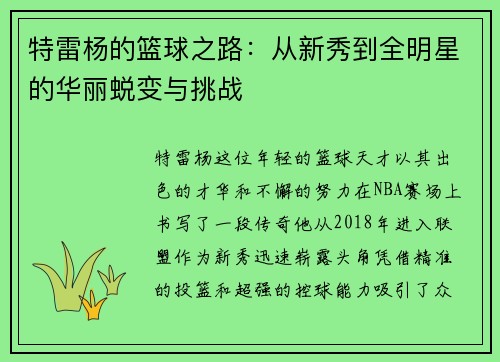 特雷杨的篮球之路：从新秀到全明星的华丽蜕变与挑战