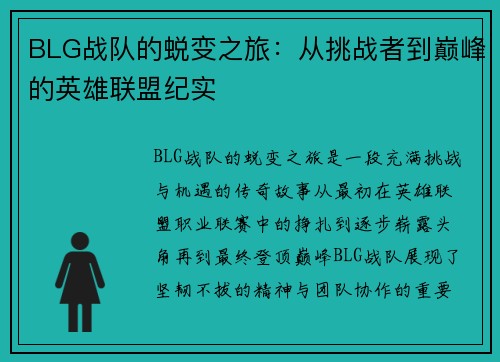 BLG战队的蜕变之旅：从挑战者到巅峰的英雄联盟纪实